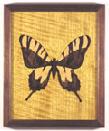 Butterfly2-4