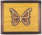 Butterfly1-1