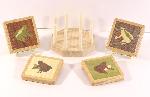 Toad Coasters