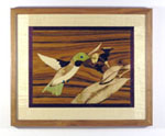 Hummingbird1-1