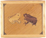 Toad2-1
