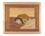 Turtle1-1