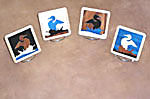 Loon Coaster set
