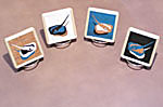 Stingray Coaster Set