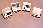 Black Bear Coaster set2