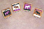 Moose3 coaster set